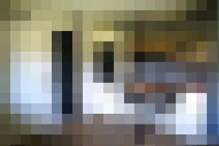 Galjoen 22 Breskens thumbnail 4