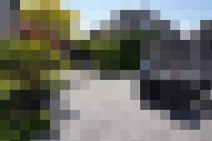 Galjoen 22 Breskens thumbnail 40