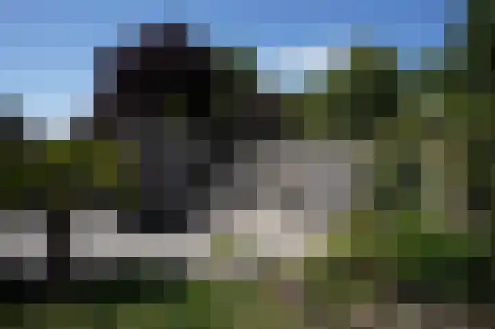 Galjoen 22 Breskens thumbnail 41