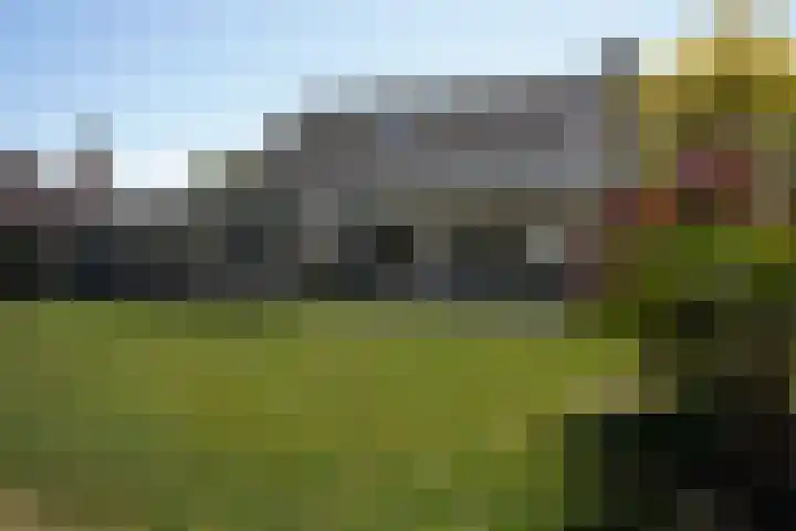 Galjoen 22 Breskens thumbnail 42