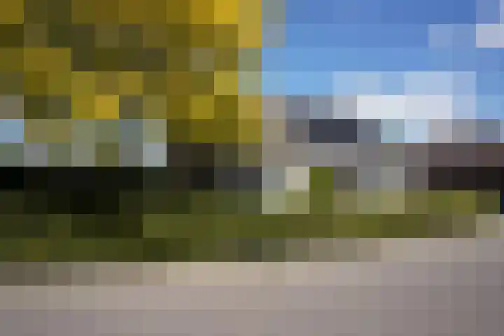 Galjoen 22 Breskens thumbnail 44