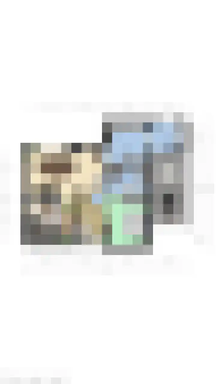 Galjoen 22 Breskens thumbnail 47