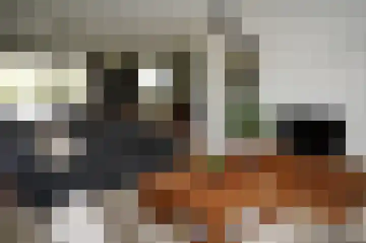 Galjoen 22 Breskens thumbnail 9