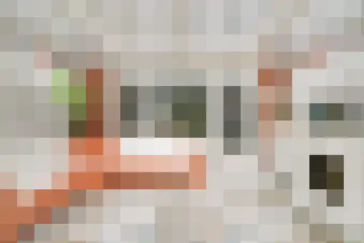 Galjoen 22 Nijkerk thumbnail 11
