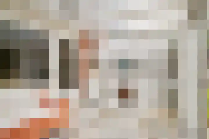Galjoen 22 Nijkerk thumbnail 12