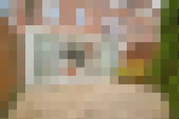 Galjoen 22 Nijkerk thumbnail 13
