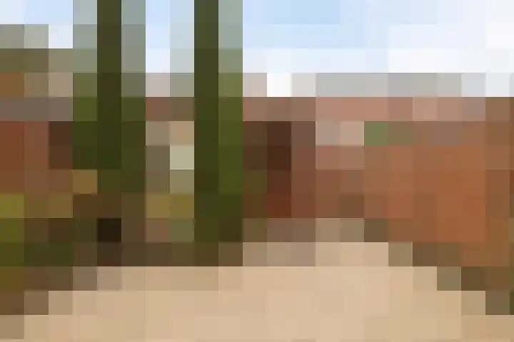 Galjoen 22 Nijkerk thumbnail 14
