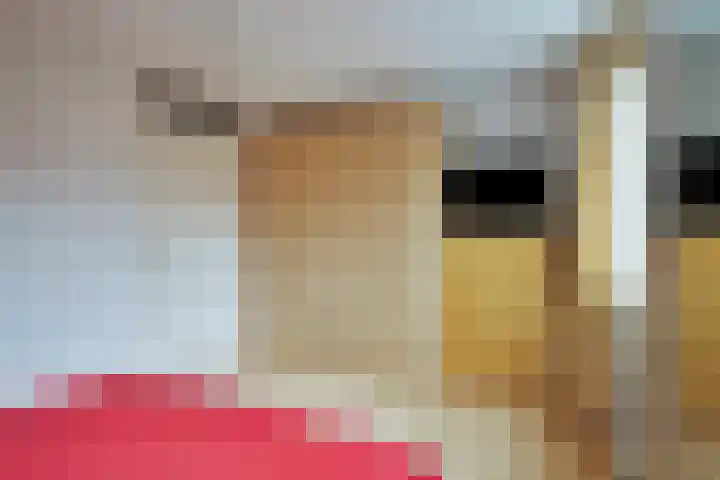 Galjoen 22 Nijkerk thumbnail 16
