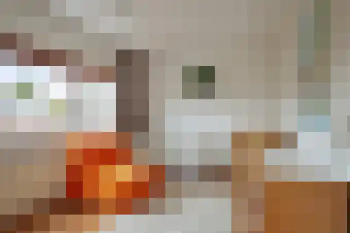 Galjoen 22 Nijkerk thumbnail 24