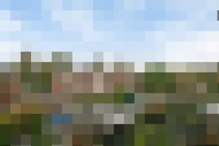 Galjoen 22 Nijkerk thumbnail 28
