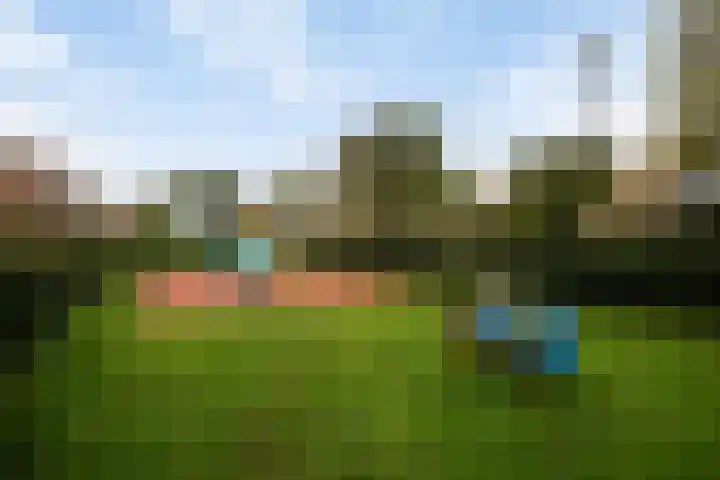 Galjoen 22 Nijkerk thumbnail 29