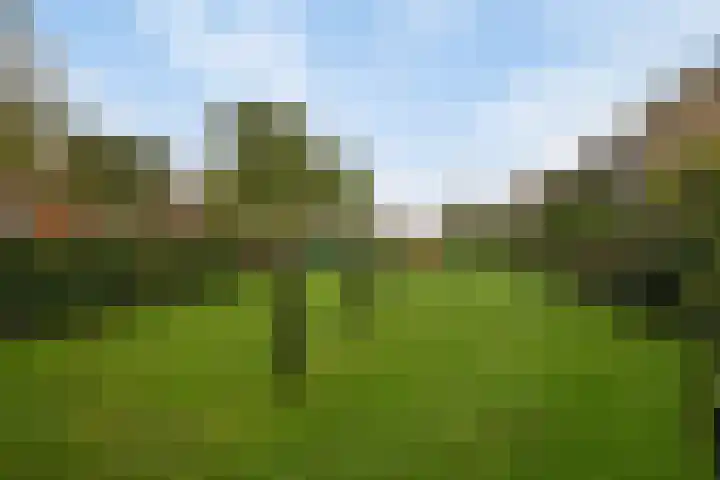 Galjoen 22 Nijkerk thumbnail 30