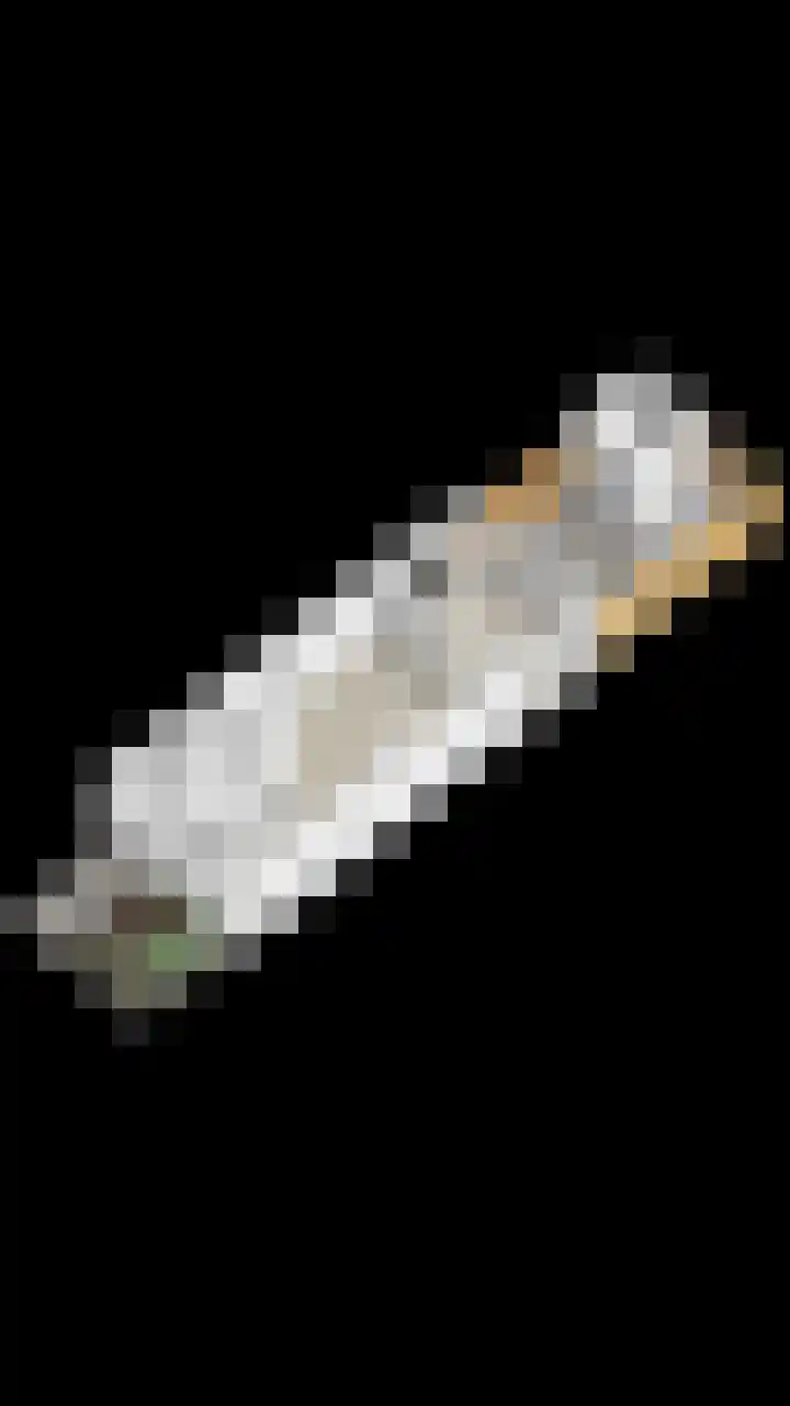 Galjoen 22 Nijkerk thumbnail 36