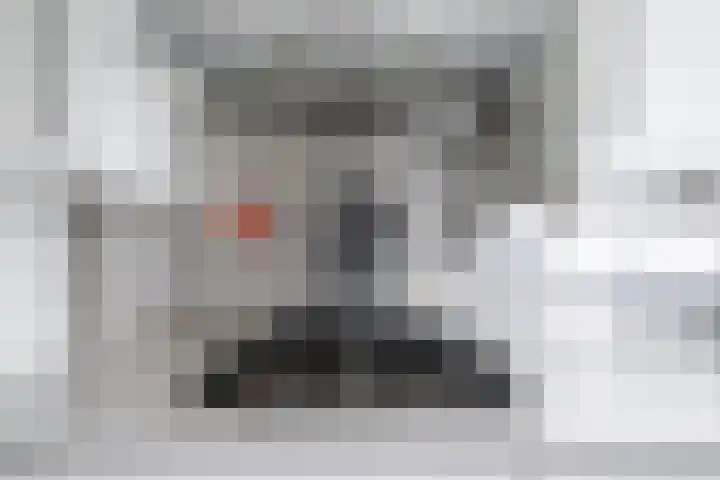 Galjoen 22 Nijkerk thumbnail 8