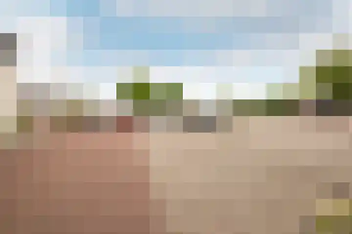 Galjoen 24 14 Lelystad thumbnail 35