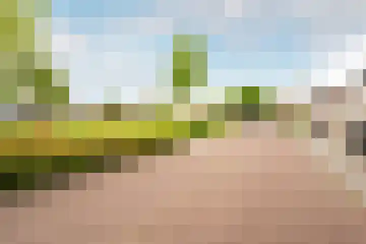 Galjoen 24 14 Lelystad thumbnail 36