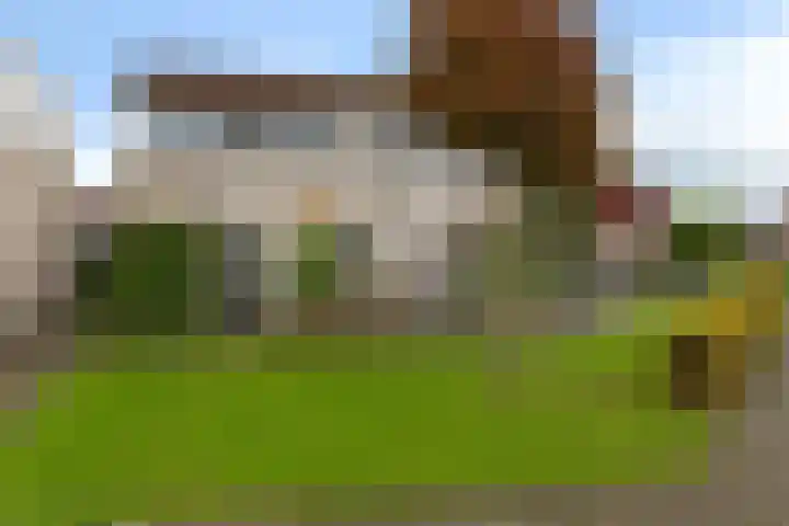 Galjoen 25 10 Lelystad thumbnail 7