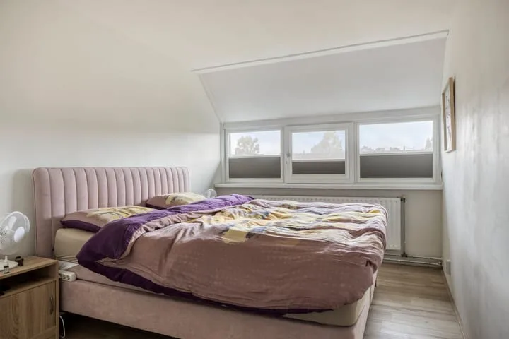 Galjoen 27 11 Lelystad thumbnail 17