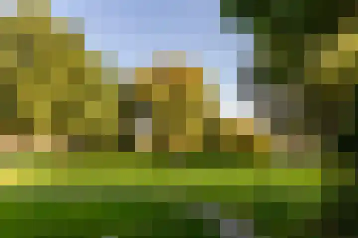 Galjoen 29 29 17 Lelystad thumbnail 32