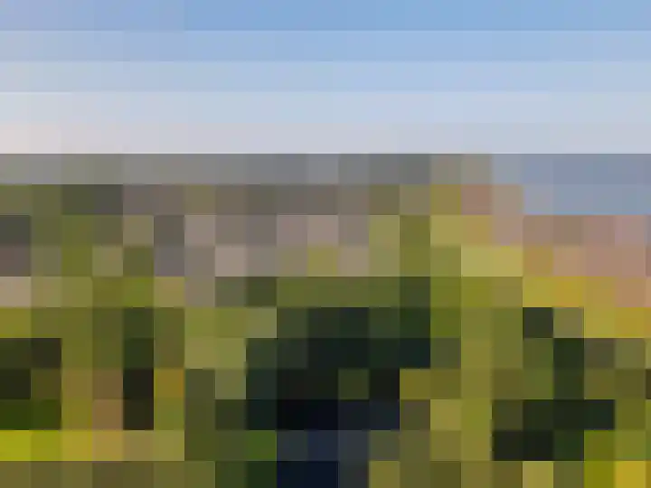 Galjoen 29 29 17 Lelystad thumbnail 34