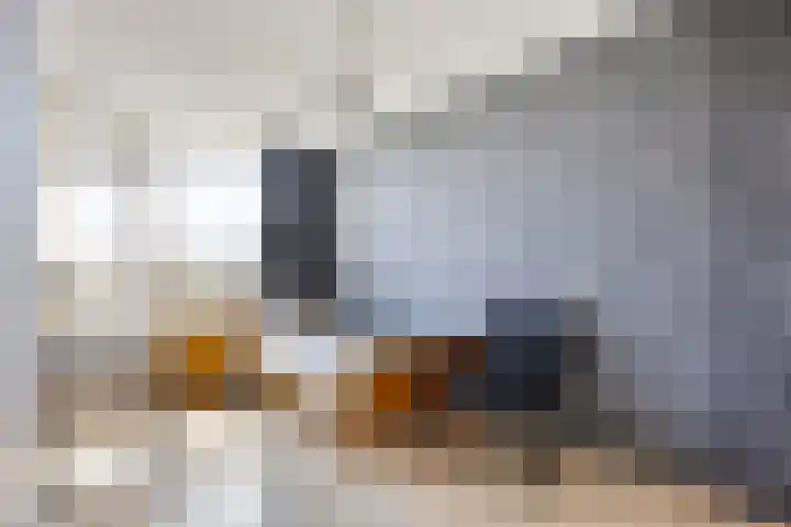 Galjoen 30 Brielle thumbnail 22