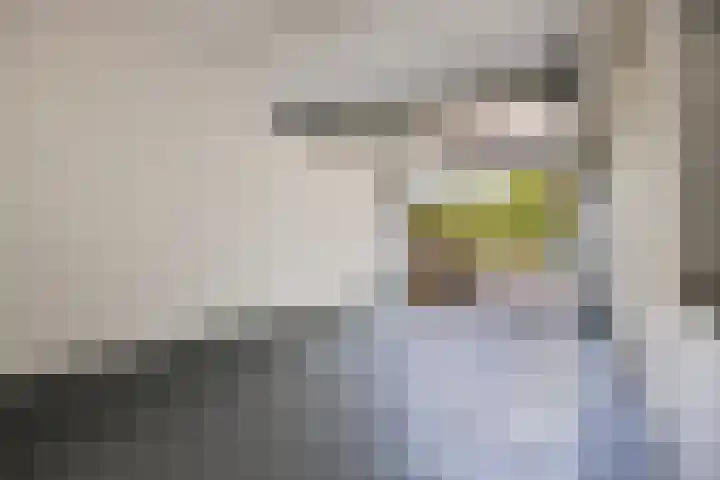 Galjoen 30 Brielle thumbnail 30