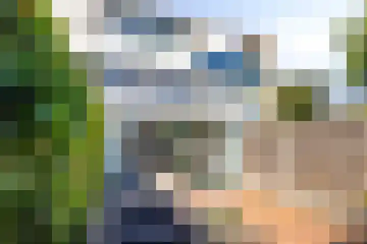 Galjoen 30 Brielle thumbnail 37
