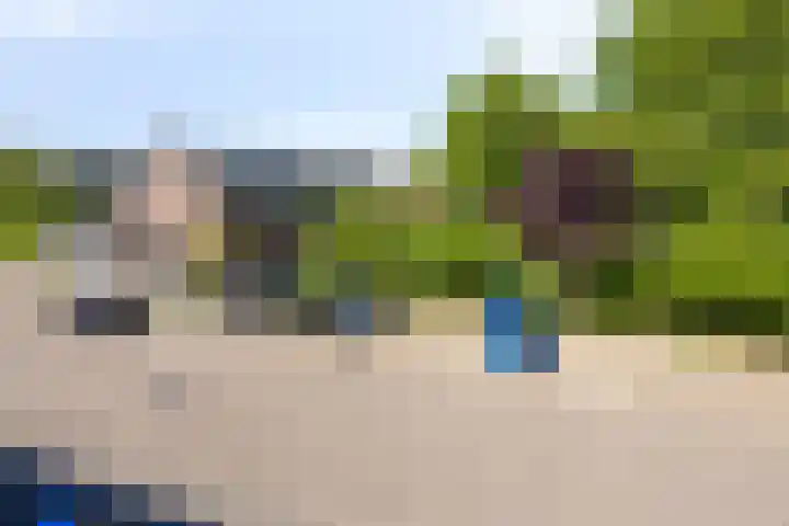 Galjoen 30 Brielle thumbnail 41