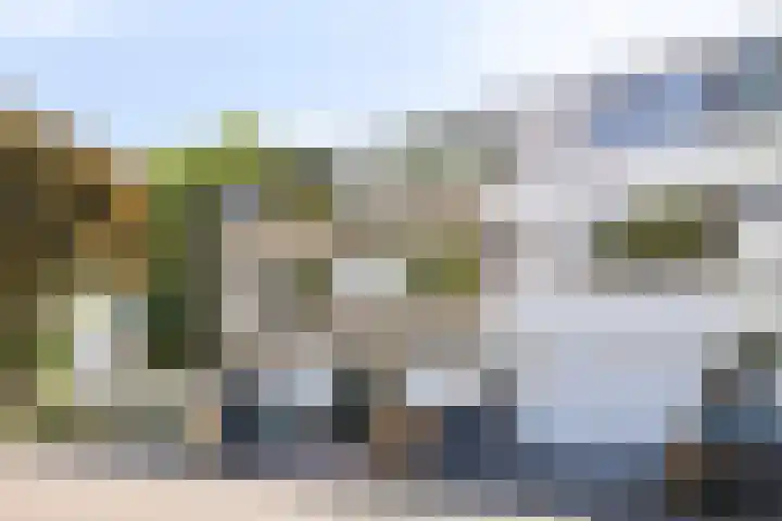 Galjoen 30 Brielle thumbnail 6
