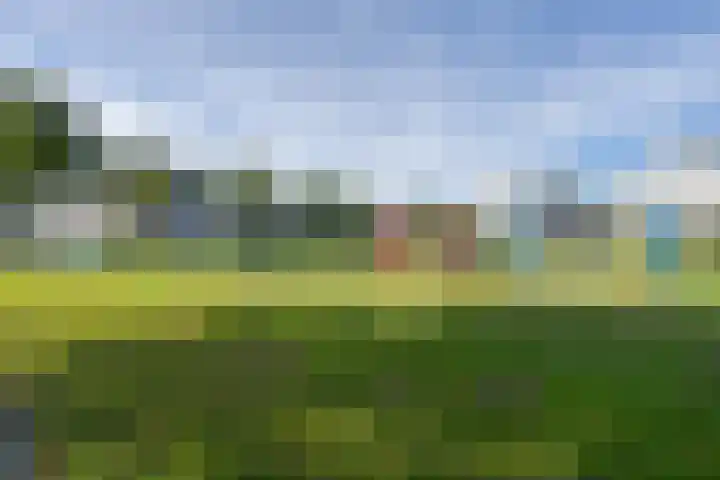 Galjoen 34 Volendam thumbnail 43
