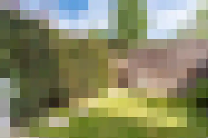Galjoen 36 Nijkerk thumbnail 24