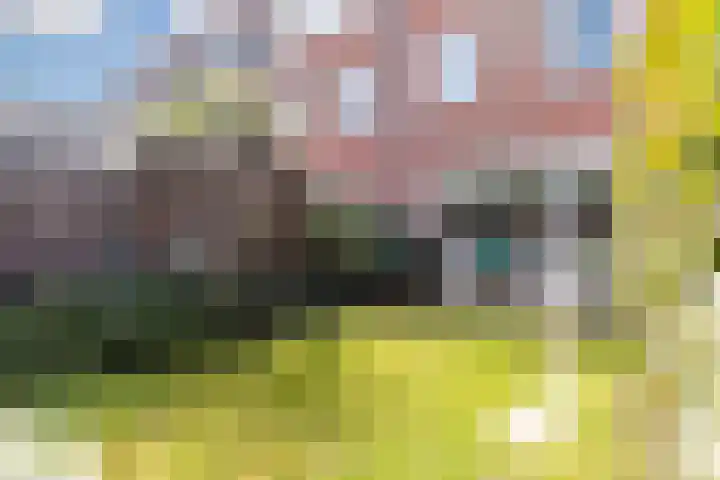 Galjoen 36 Nijkerk thumbnail 26