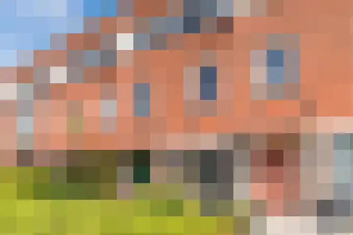 Galjoen 36 Nijkerk thumbnail 28