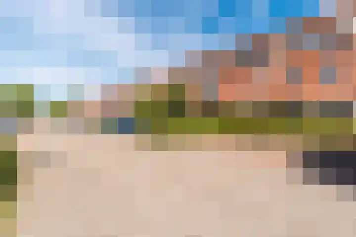 Galjoen 36 Nijkerk thumbnail 30