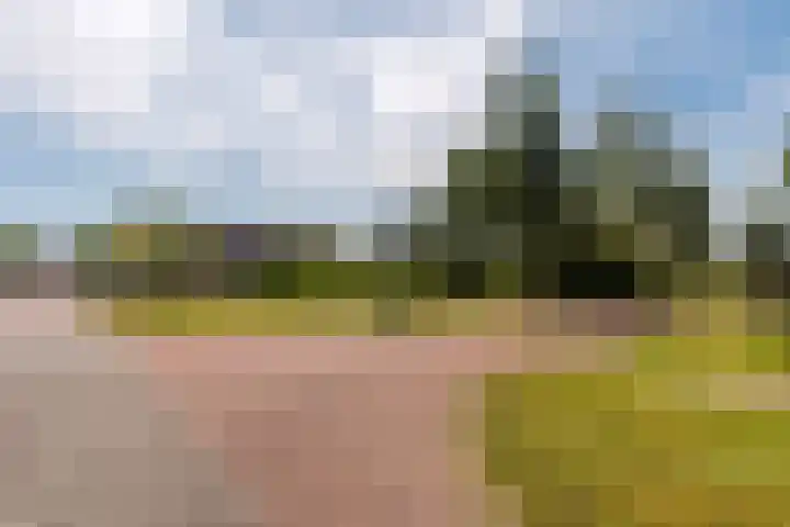 Galjoen 36 Nijkerk thumbnail 31