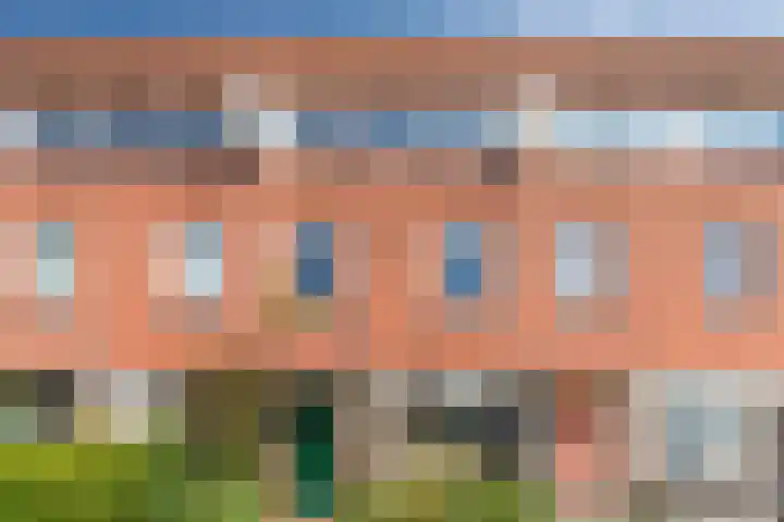 Galjoen 36 Nijkerk thumbnail 36