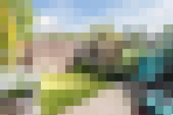Galjoen 36 Nijkerk thumbnail 4