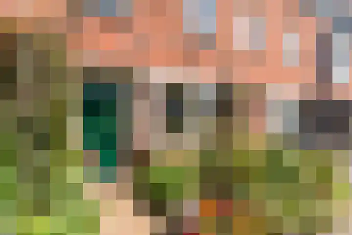 Galjoen 36 Nijkerk thumbnail 8