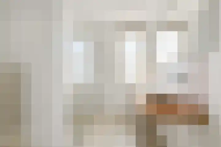 Galjoen 4 Diemen thumbnail 13