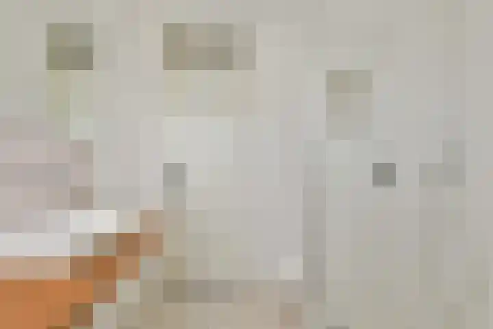 Galjoen 4 Diemen thumbnail 14