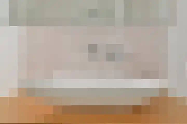 Galjoen 4 Diemen thumbnail 16