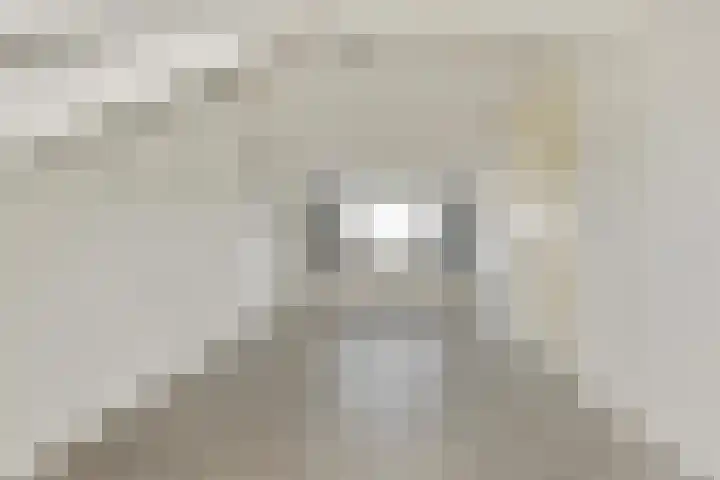 Galjoen 4 Diemen thumbnail 18