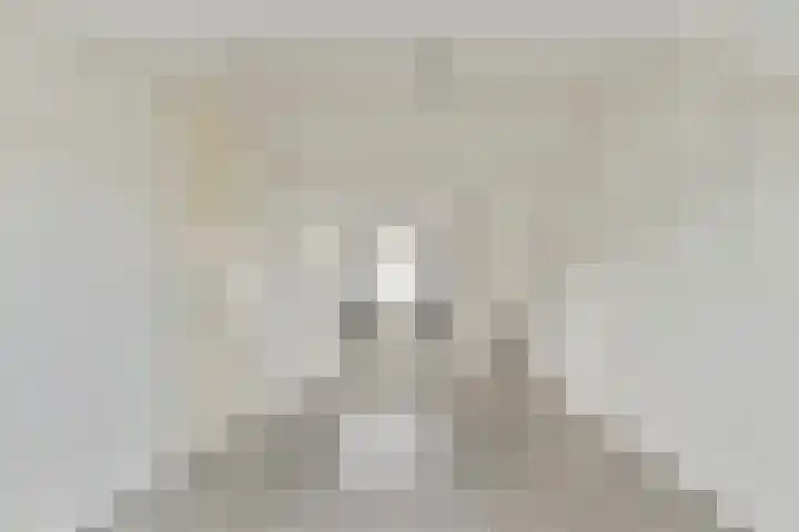 Galjoen 4 Diemen thumbnail 19