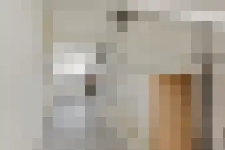 Galjoen 4 Diemen thumbnail 20