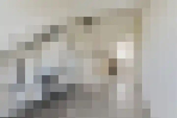 Galjoen 4 Diemen thumbnail 21