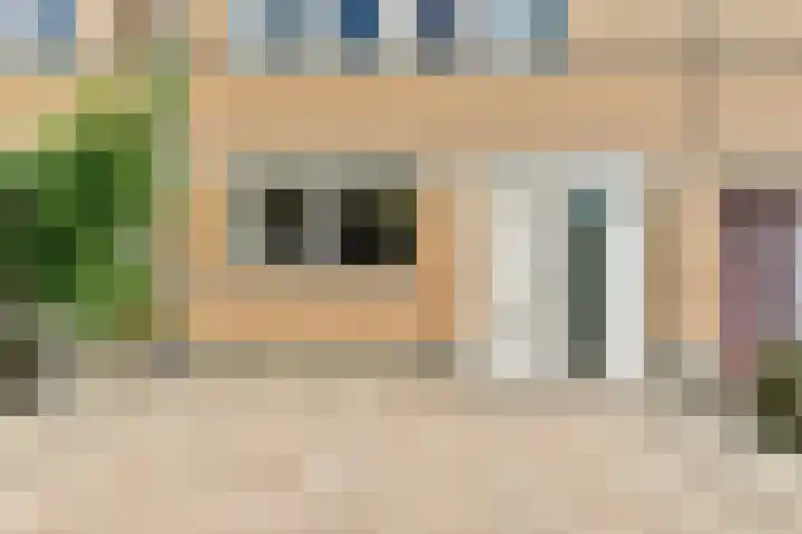 Galjoen 4 Diemen thumbnail 23