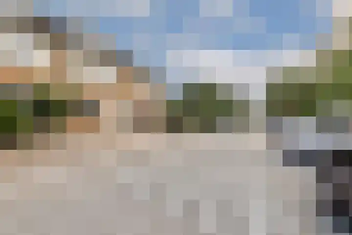 Galjoen 4 Diemen thumbnail 24