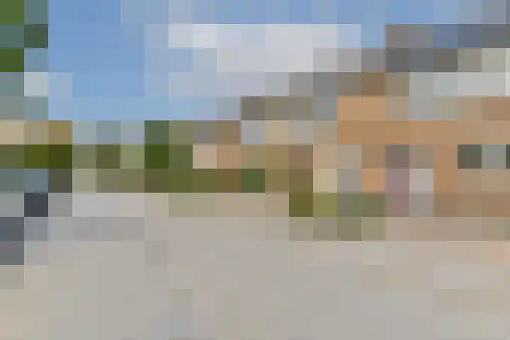 Galjoen 4 Diemen thumbnail 25
