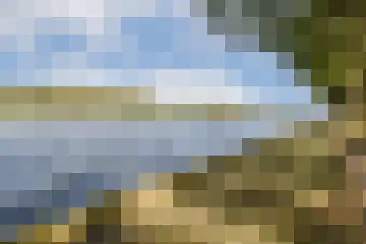 Galjoen 4 Diemen thumbnail 26