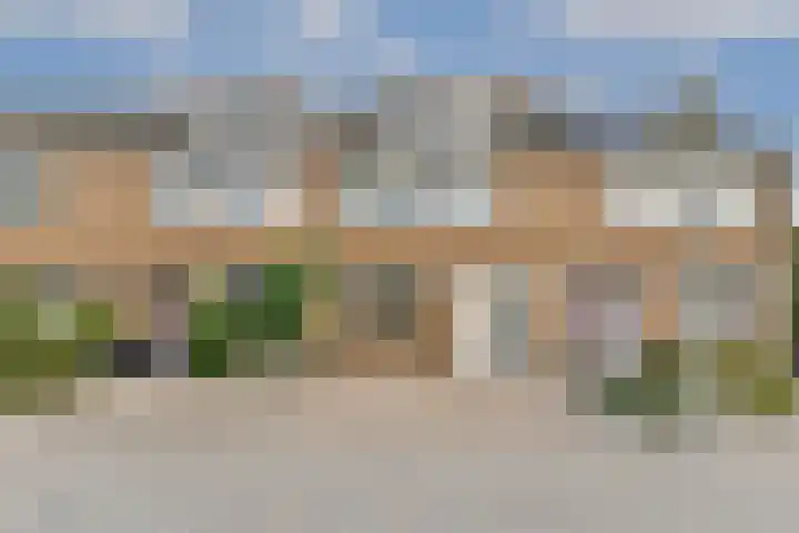 Galjoen 4 Diemen thumbnail 31